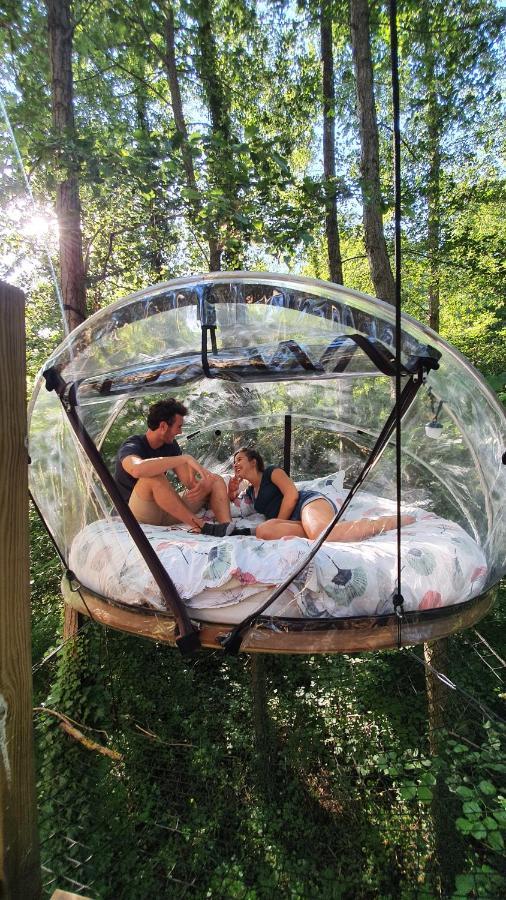 Les Bulles De La Maison Du Rocher Noisy-sur-Ecole Luaran gambar